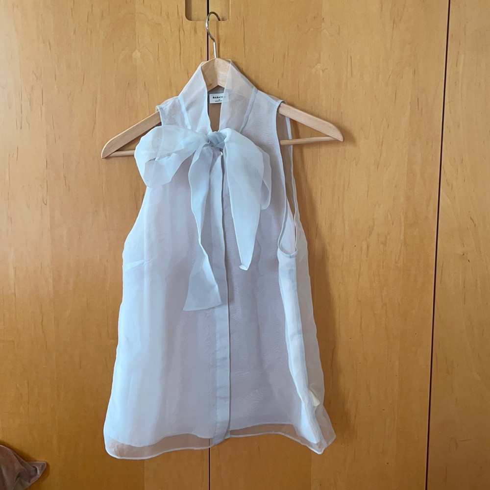 Babaton Aritzia sleeveless sheer blouse